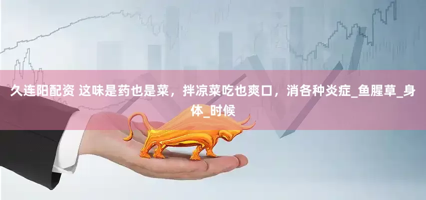久连阳配资 这味是药也是菜，拌凉菜吃也爽口，消各种炎症_鱼腥草_身体_时候