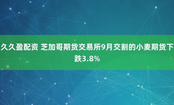 久久盈配资 芝加哥期货交易所9月交割的小麦期货下跌3.8%